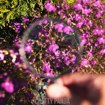 7 Funny and Creative Photo Ideas! Phone Photography Hacks and More DIY Ideas