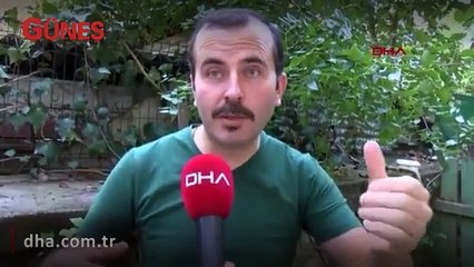 Balon balığı 8 yaşındaki çocuğun parmağının yarısını kopardı