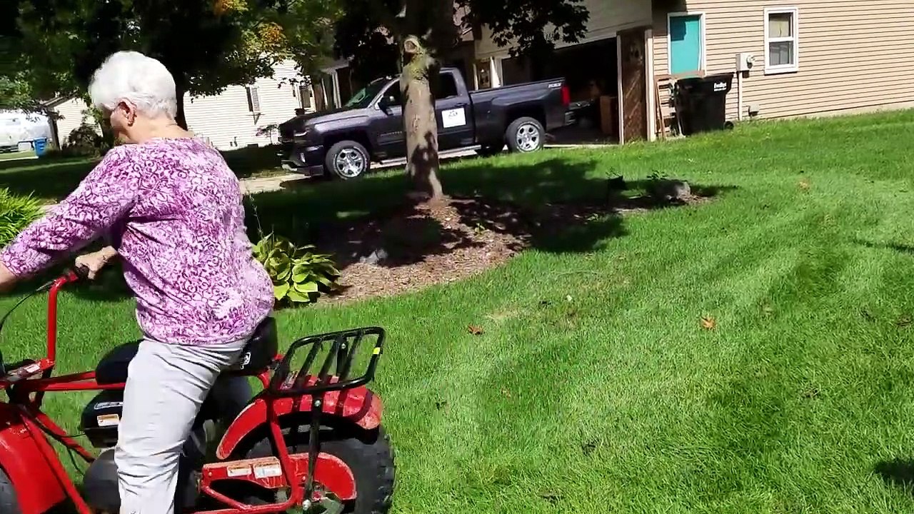 Things We Feel Bad LAUGHING AT!   Funny Videos  AFV 2019