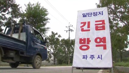 파주 농장도 확진 판정...일시 이동중지명령 / YTN