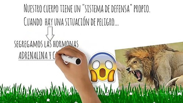 Estrés Crónico, que es?