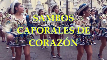 CAPORALES SAMBOS DE CORAZÓN. Para alegrar la vista
