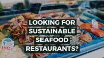 Sustainable Seafood Restaurant-Friend of the sea.