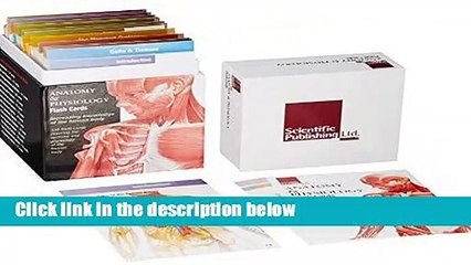 [Doc] Anatomy and Physiology Flash Cards