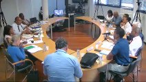 Impact du chlordécone et du paraquat : auditions en Guadeloupe (suite) - Samedi 21 septembre 2019