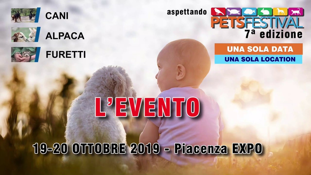 Aspettando PetsFestival  2019 - Puntata 6