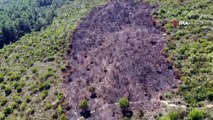 Aydos Ormanı'nda kundaklama sonucunda yanan ormanlık alandaki tahribat havadan görüntülendi