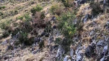Ora News - Rrëshqitje gurësh në Torovicë, bëni kujdes