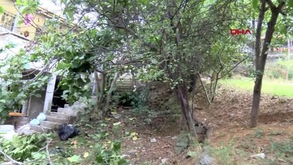 İstanbul-üsküdar'da otomobil bahçeye yuvarlandı