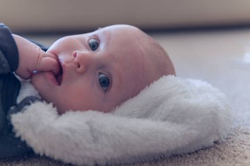 La capacité d'analyse des bébés de 5 mois