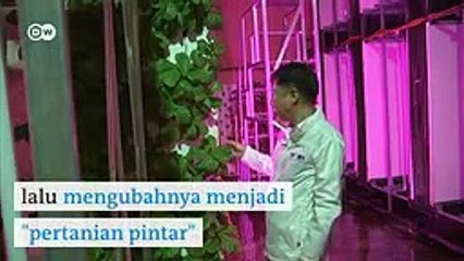 Terbesar Sejagad, Pertanian Vertikal Dalam Ruangan di Korea Selatan