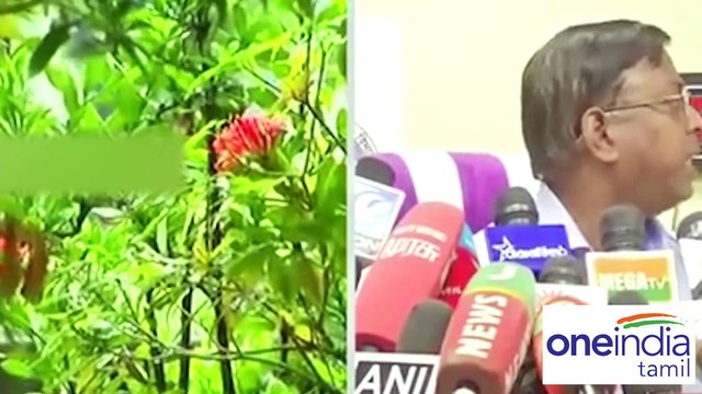 இன்று 15, நாளை 9 மாவட்டங்களில் கன மழை பெய்யும்..வானிலை மையம் தகவல்-வீடியோ