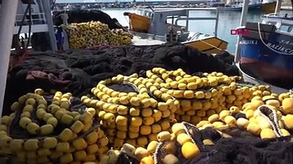 Karadeniz'de palamut tükendi