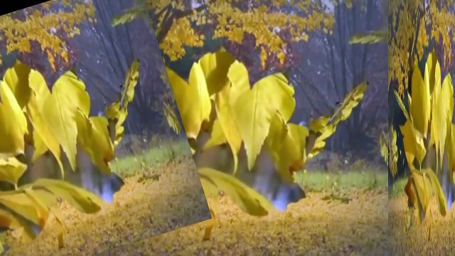 SONBAHAR٭٭ seslendiren tasarım video ٭٭Aynur AVCI