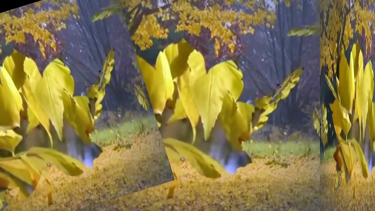 SONBAHAR٭٭ seslendiren tasarım video ٭٭Aynur AVCI