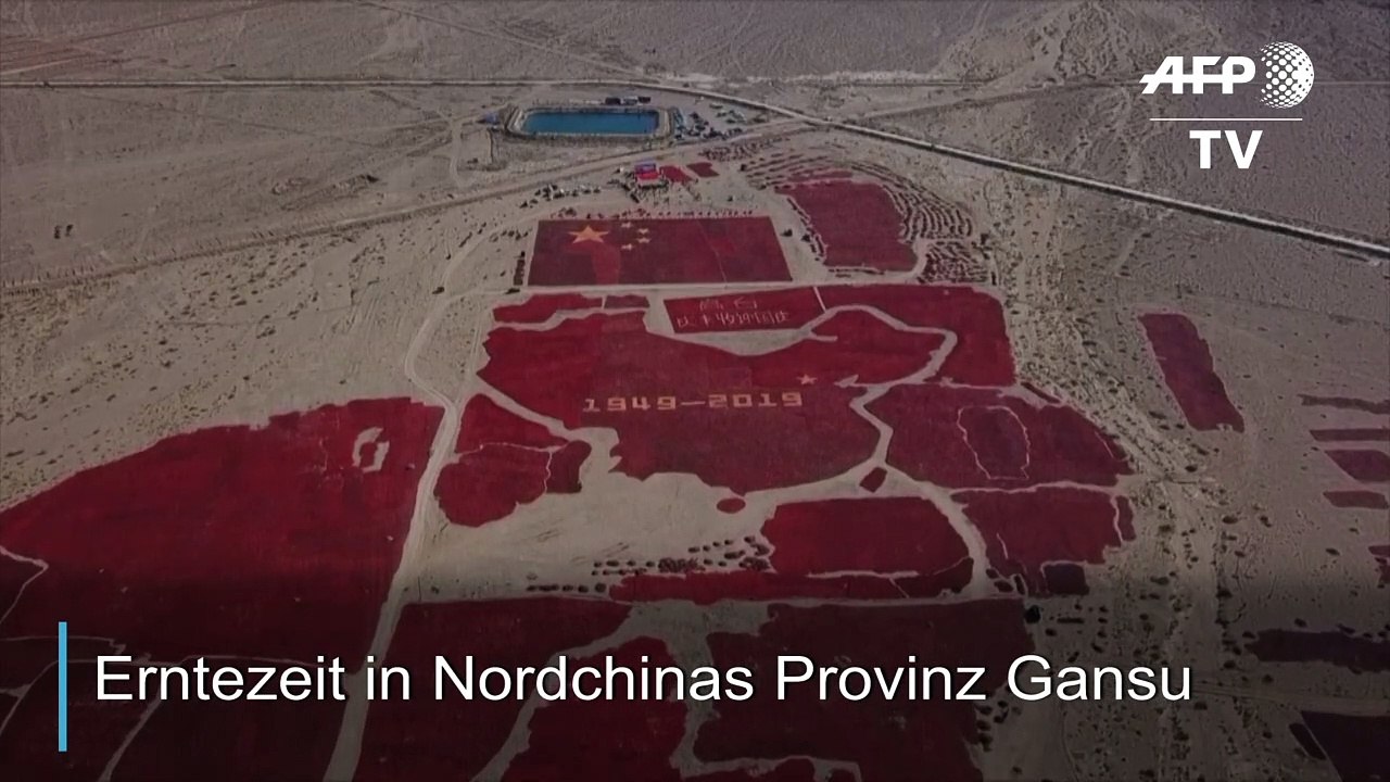 Scharf! China aus Chili-Schoten