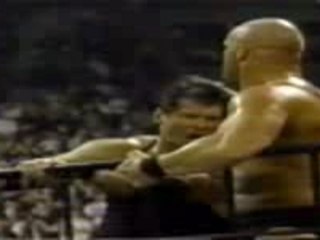 Stone Cold Steve Austin Vince cage