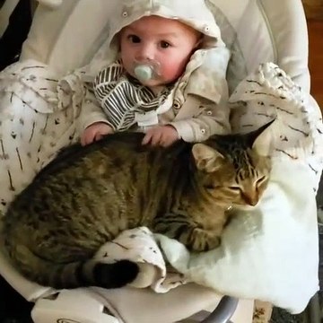 Le paradis ! Le magnifique portrait du jour... Quand un chat fait la sieste dans les bras d'un bébé ...