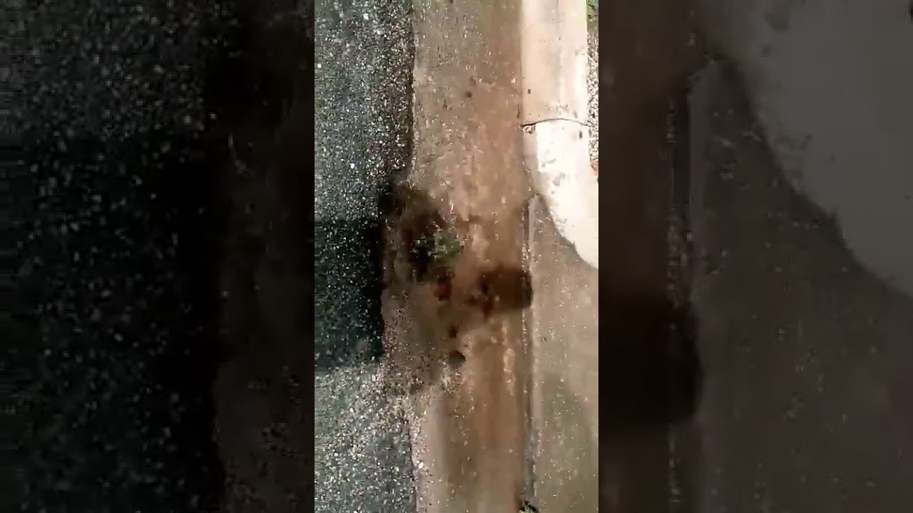 Përmbytje te shkolla Hasan Prishtina