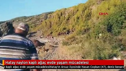 Hatay naylon kaplı ağaç evde yaşam mücadelesi