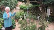 Entre cours et jardins: Aileen Sharpe ouvre pour la 3e fois son jardin historique