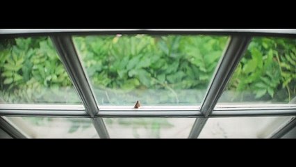 The Guardian'ın yeni reklam filmi yayınlandı: Değişim mümkün. Umut güçtür