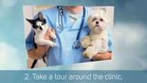 Top Tips to Pick The Right Vet for Your Pets