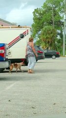 Mulher é detida após pontapear e quase sufocar o seu cão