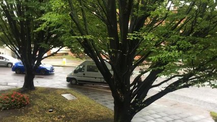 Van goes wrong way around Chichester roundabout