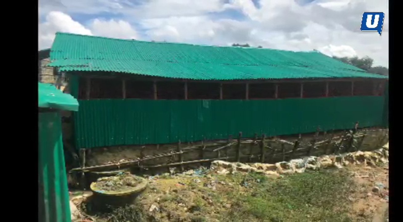 Sinar dan keperitan