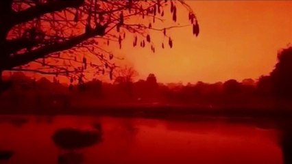 Les feux de forêt enflamment le ciel de l'île de Sumatra en Indonésie