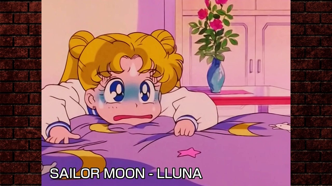 Roser Aldabó doblant altres sèries d'anime [4CB33D6A]