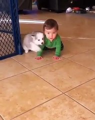 Amazing : Un adorable chiot couvre un bébé de bisous