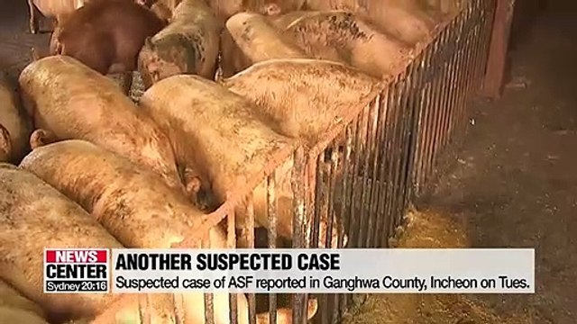 S. Korea's 4th case of African swine fever confirmed in Paju: Agriculture Ministry