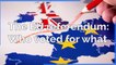 Brexit - The EU referendum: Who voted for what