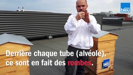 Le_BZZZ_de_la_semaine_17 : Pourquoi les alvéoles d'une ruche sont-elles hexagonales?