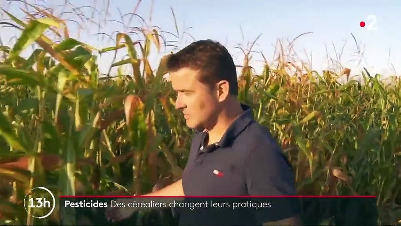 Pesticides : ces agriculteurs qui changent leurs pratiques