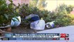 California Health: Clean up crews and volunteers asking for help picking up trash in Bakersfield streets