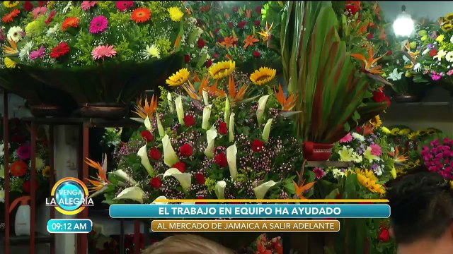 El Mercado de Jamaica está de aniversario. ¡Recorre sus pasillos llenos de flores!| Venga La Alegría