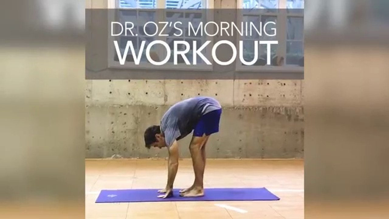 Gym Workouts  Free Workout Videos PureGym