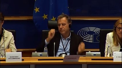 Bruxelles - Donato in Commissione per i problemi economici e monetari in UE (24.09.19)