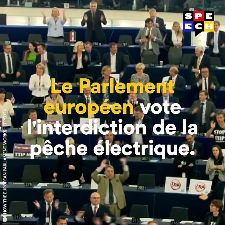 La pêche électrique