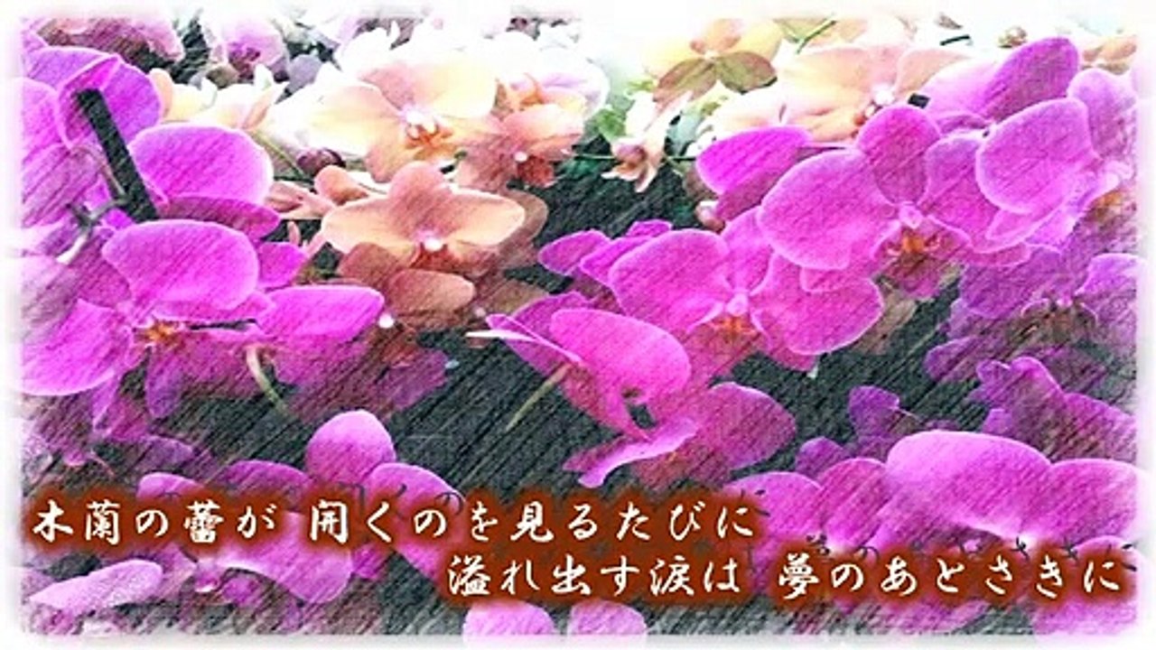 木蘭の涙 / スターダスト・レビュー 弾き語り by にじば 週2配信 #087