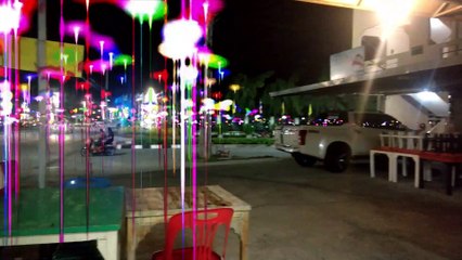 ต้นชลบุรี