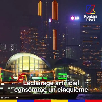 Le Conseil d'Etat a condamné le gouvernement pour son inaction contre la pollution lumineuse