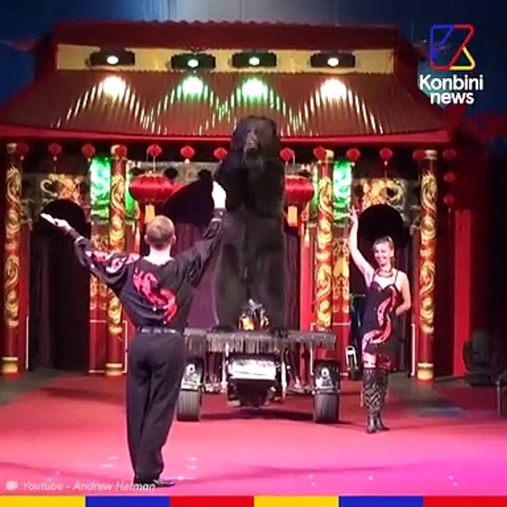 Strasbourg dit "non" aux animaux sauvages dans les cirques