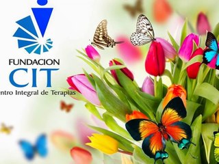 Estrategias Comunicativas con el Adulto Mayor