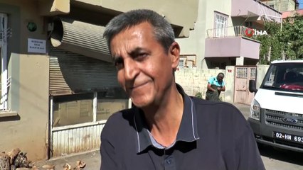 Mahalleliyi arılardan belediye ekipleri kurtardı