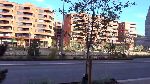 BDMV-87 Aruna & Hari Sharma walking at Kirsten Flagstads Plass 0150 Oslo Sep 20, 2019