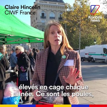 Militants et personnalités politiques se sont mis en cage pour dénoncer les conditions d'élevage des animaux